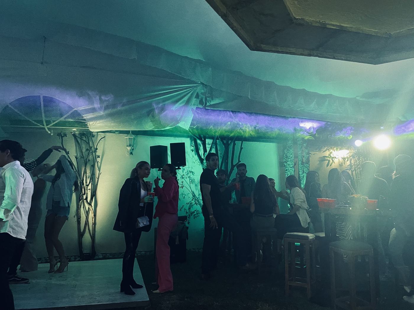 Fiesta nocturna en terraza con iluminación verde y morada, humo e invitados con bebidas